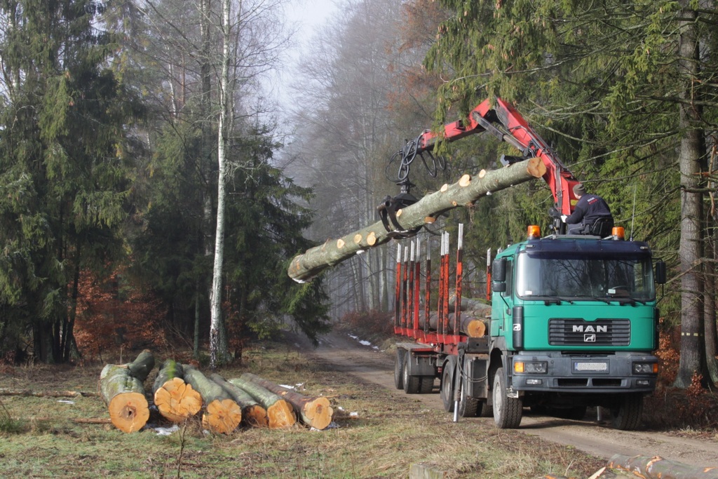 Załadunek drewna (foto. J. Kuczyńska)