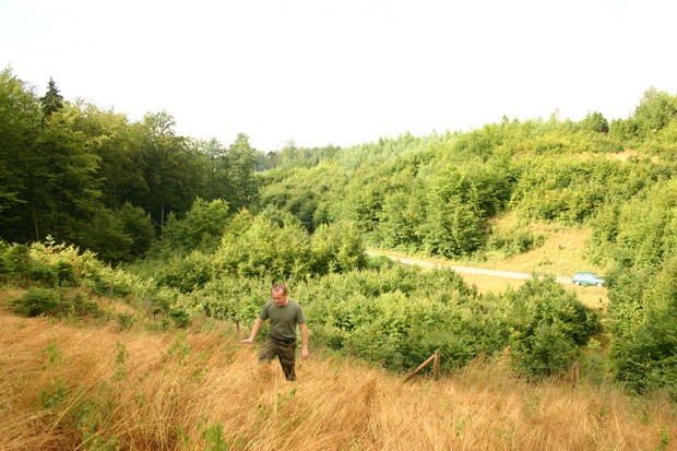 Czy trzeba już wykaszać trawy? (Foto. J. Kuczyńska)