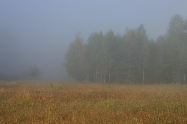 Sierpniowy poranek (Foto. J. Kuczyńska)