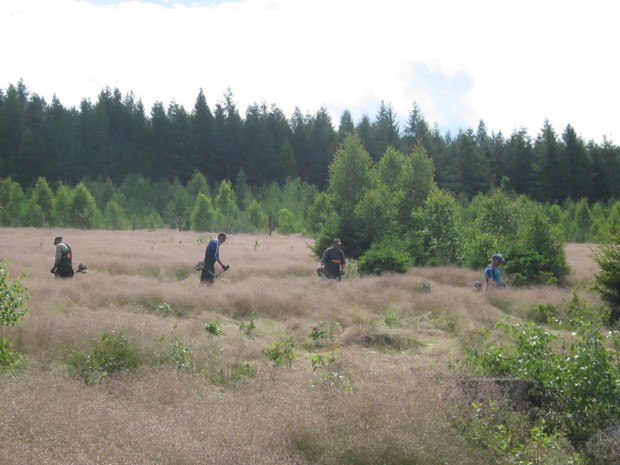 Wykaszanie nadmiernie wyrośniętych traw czyli pielęgnacja gleby (foto. J. Kuczyńska)
