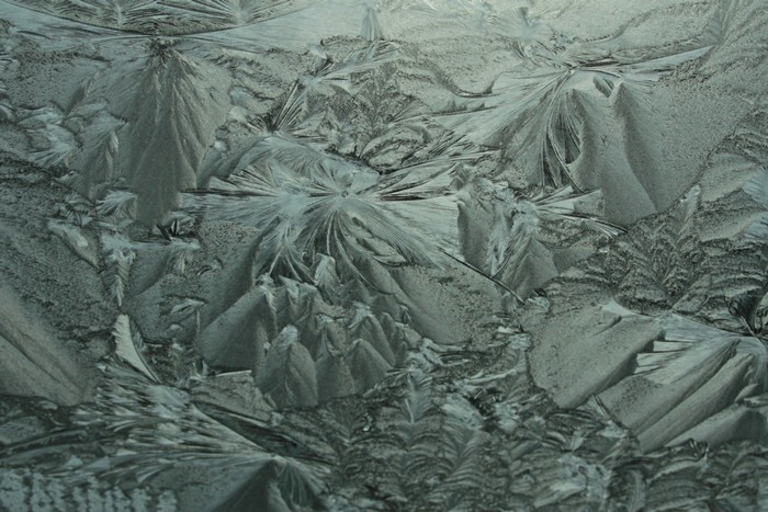 Mrozem malowana – przednia szyba samochodu (Fot. J. Kuczyńska)