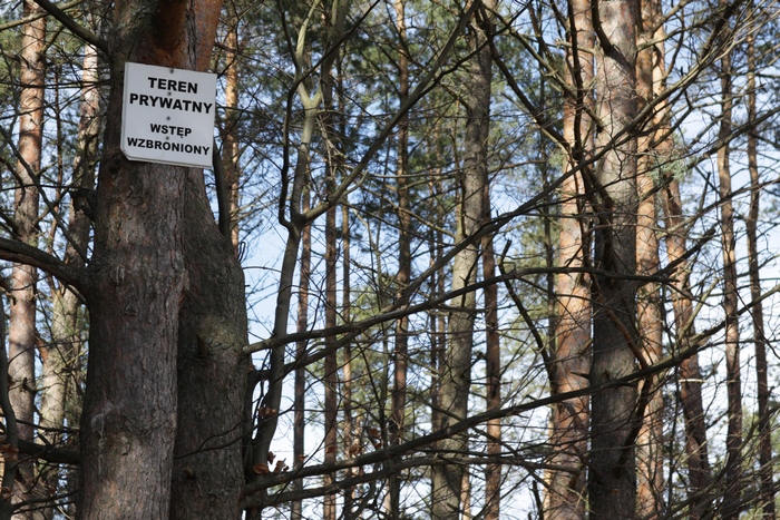 Właściciel lasu prywatnego może zakazać wstępu do lasu, oznaczając teren stosowną tablicą (Fot. J. Kuczyńska)