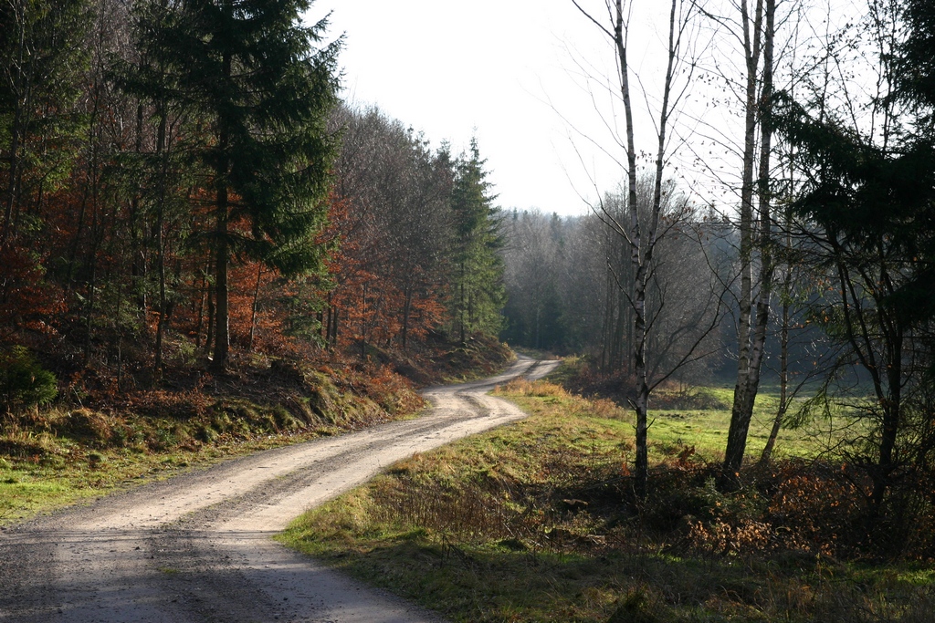 Na zielonym szlaku pieszym (Fot. J. Kuczyńska)