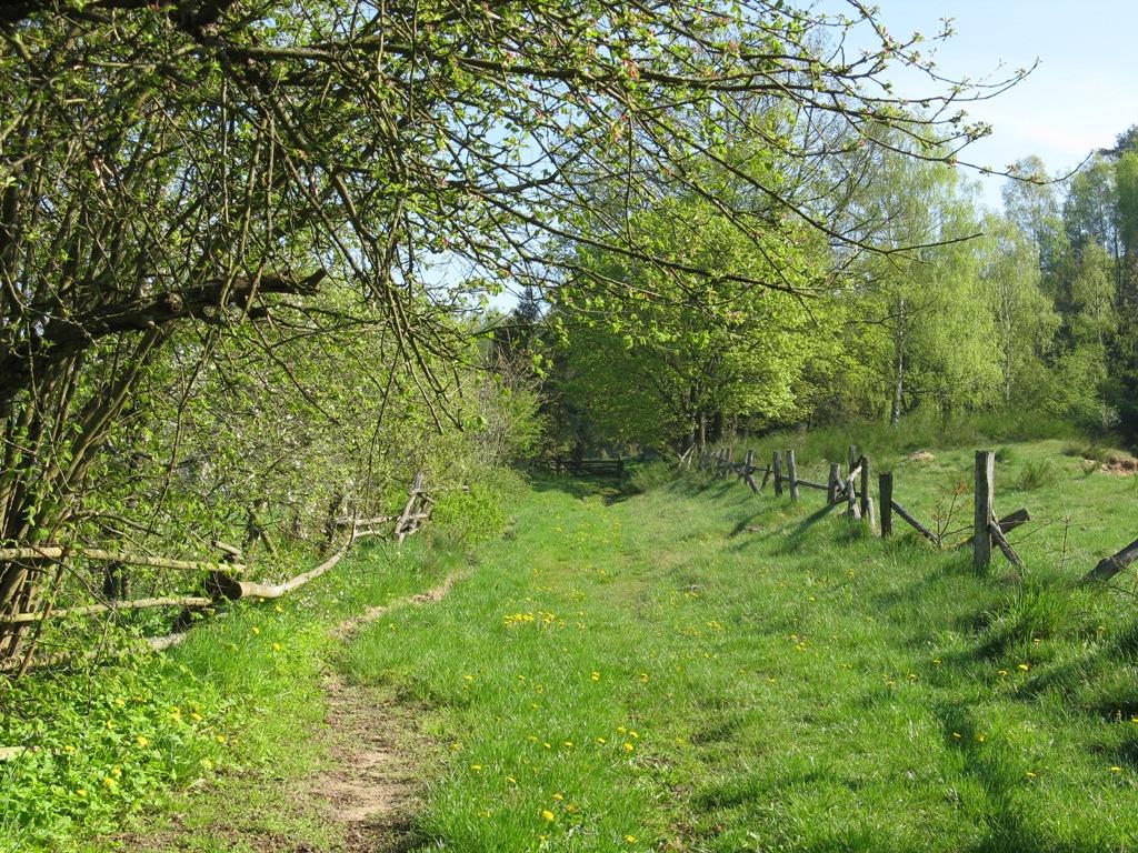 Foto: Opłotkami wsi Chmieleniec 