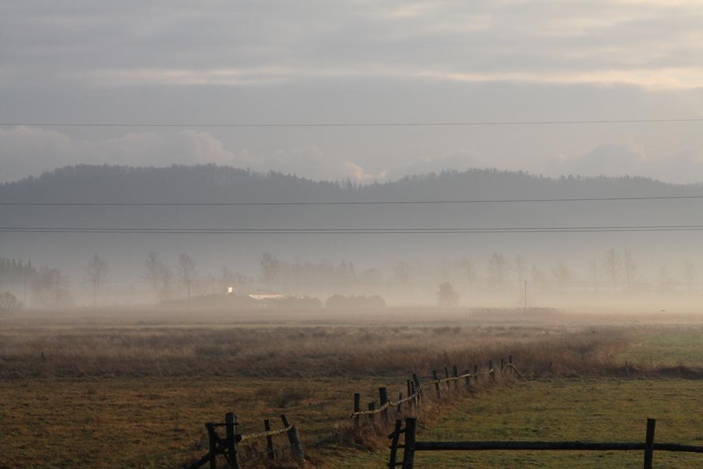 Foto: Pradolina Łeby w okolicach wsi Bożepole