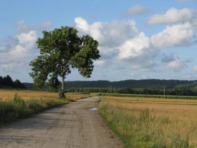 Foto: Widoki ze szlaku