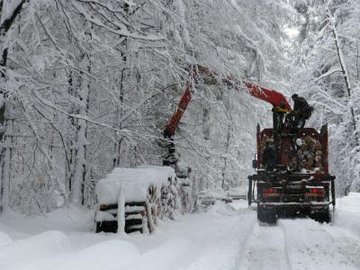 Zimowy załadunek drewna, foto. J. Kuczyńska