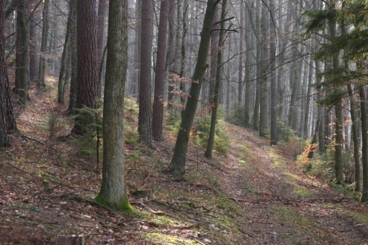 Foto: Widoki na szlaku