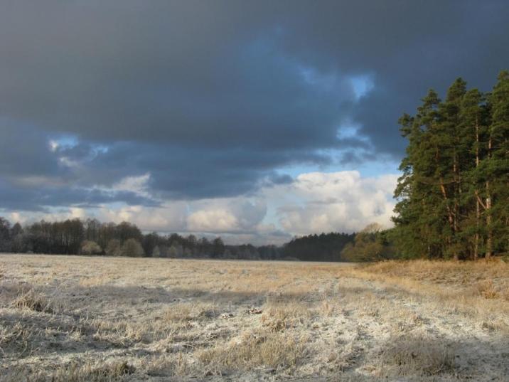 W Dolinie Łeby (Foto. J. Kuczyńska)