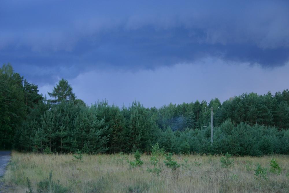 Przed letnią burzą (foto. J. Kuczyńska)