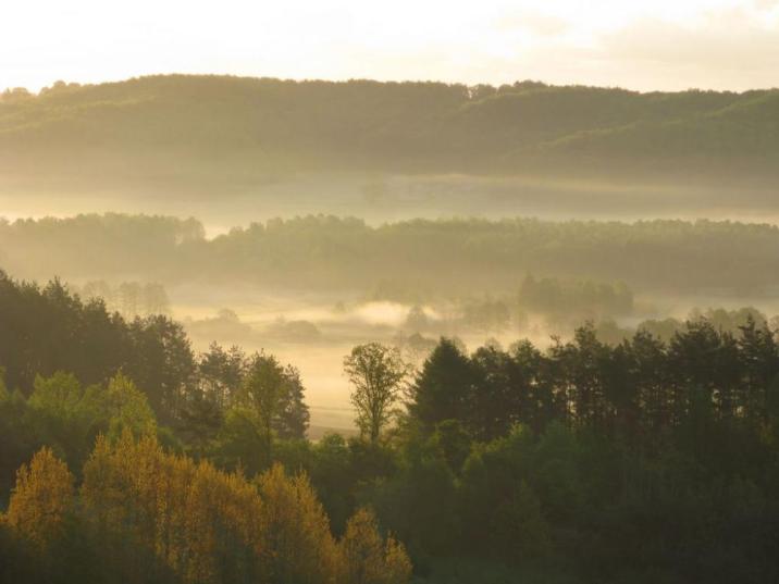 Maj - czwarta nad ranem (Foto. J. Kuczyńska)
