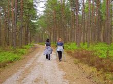 Nordic Walking-trasy na terenie Nadleśnictwa Strzebielino