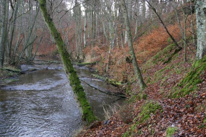 Przełom rzeki Łeby