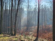 Program wycieczek 2026 r.